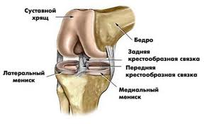 мениск коленного сустава